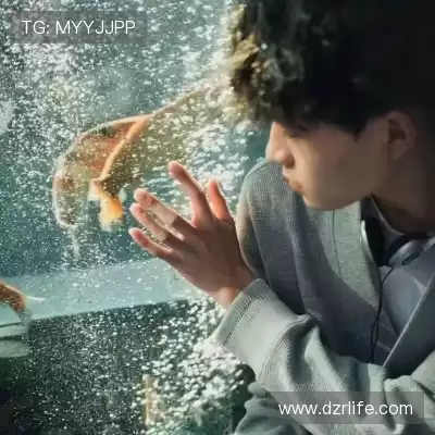 鲁羿嵩
